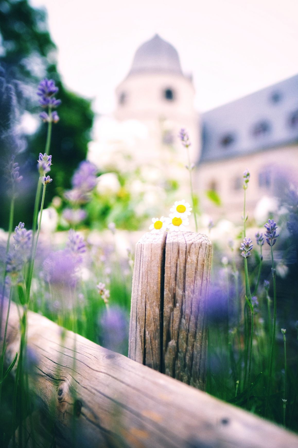 2023-06-18_Jan Handelmann_2